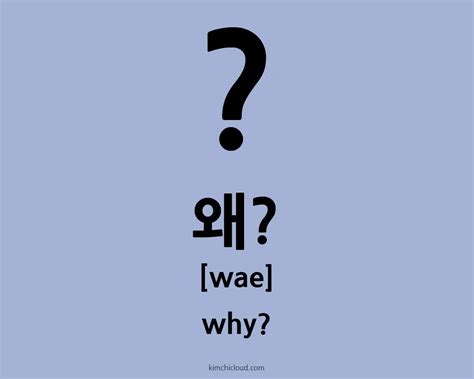 wae meaning in korean|‘Why’ in Korean: How to Say Why in Korean .